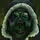Zombie Apocalypse: Last Days in the Wasteland Survive Hordes of Zombies icon