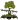 Vanilla