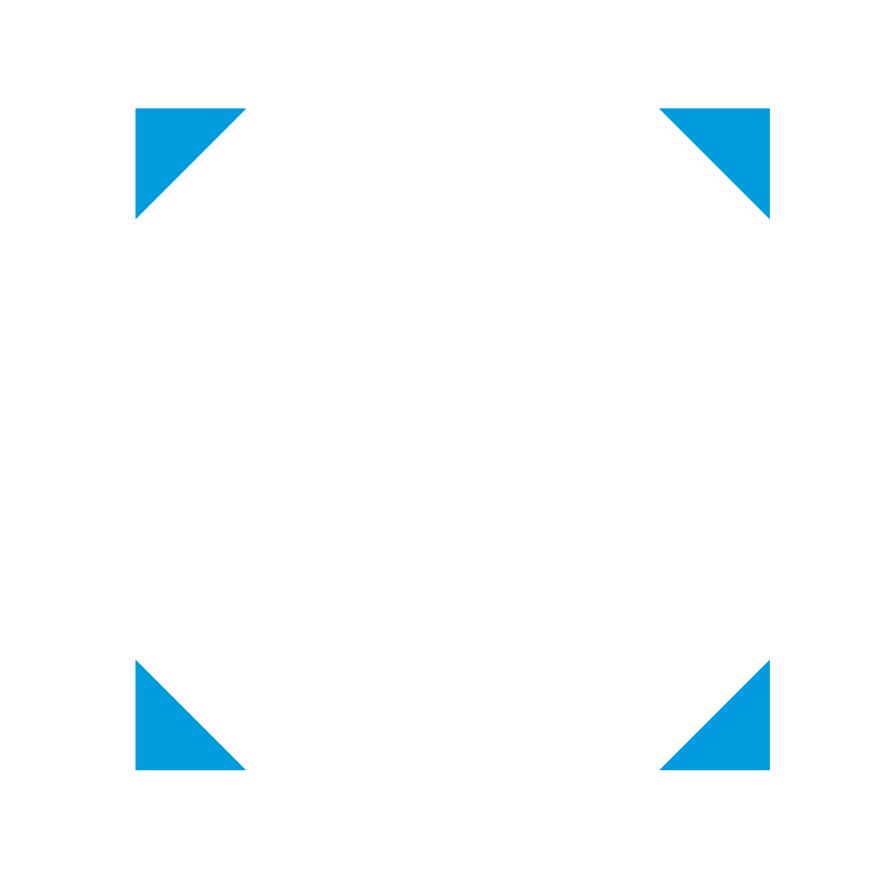 WinterNode Logo