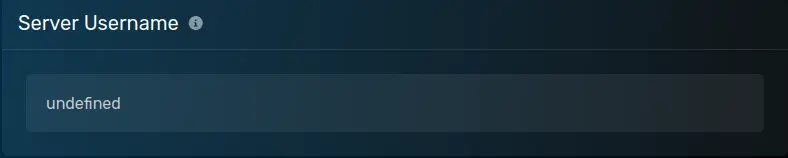 The "Server Username" modal with a default value of [undefined], located on the Startup parameters page of the server page.