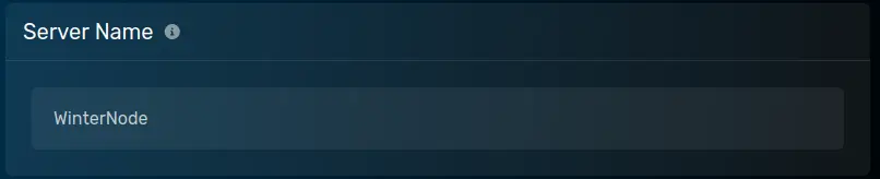 The "Server Name" panel with the default value of WinterNode, located on the Startup Parameters tab.