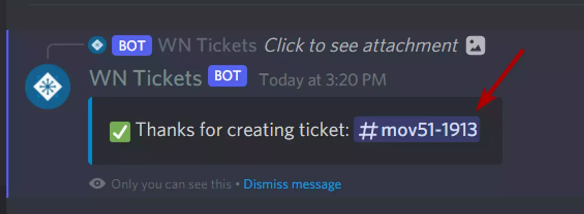 A Discord message designated as "only visible to you" directing you to your newly created ticket